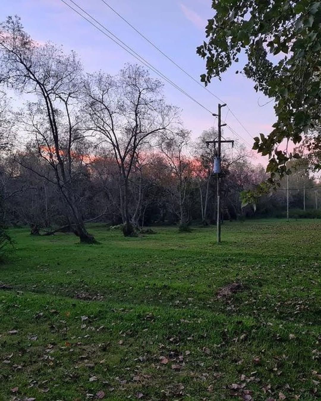 Atardecer sobre el parque de la isla.