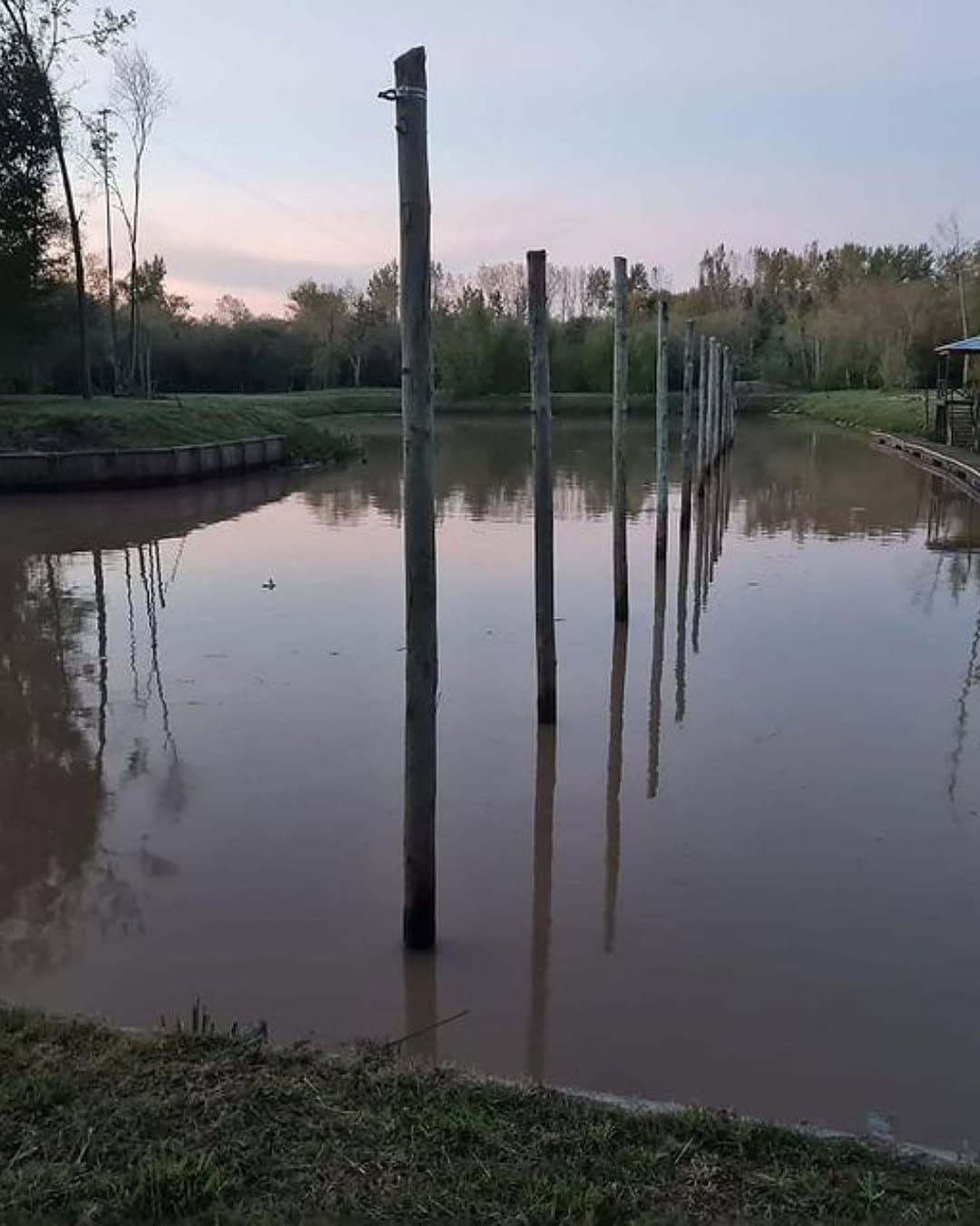 Postes de amarre reflejados en el agua al atardecer.