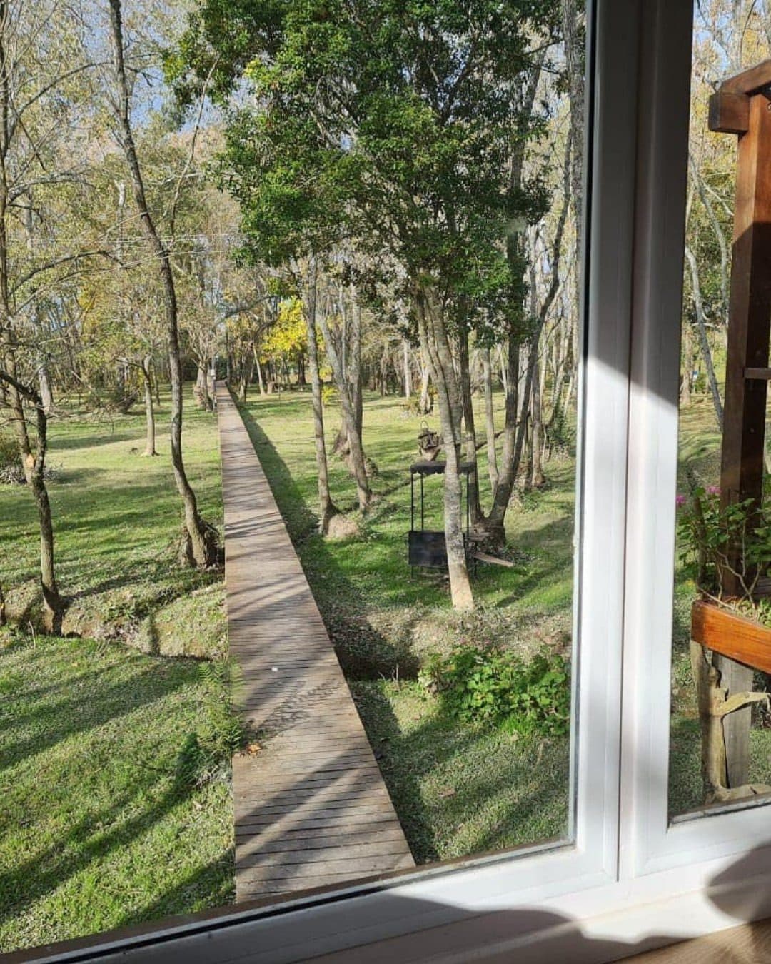 El bosque y la pasarela de madera vistos desde el ventanal de una casa.